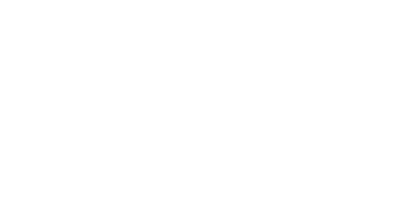 Logo-Speed-branca
